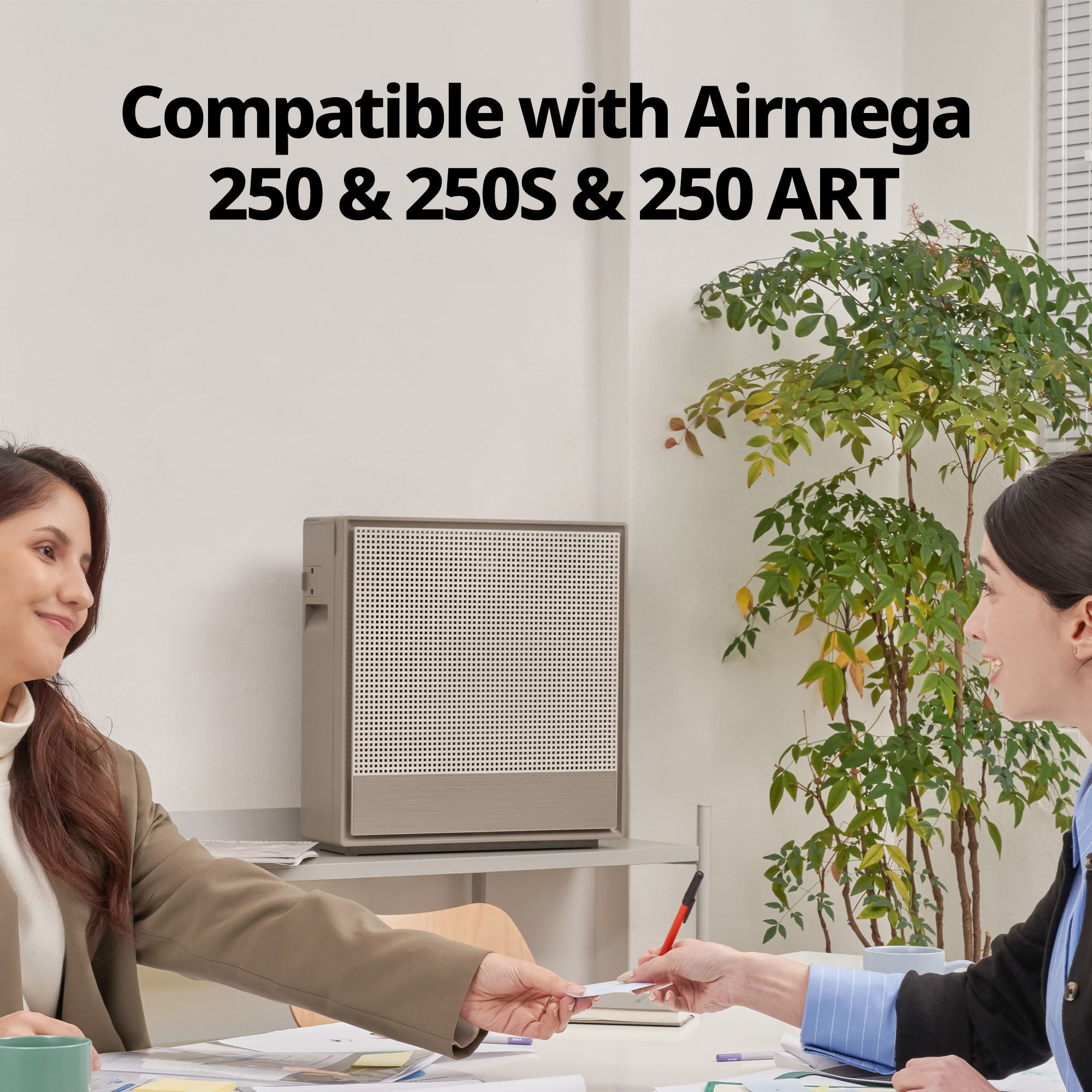 Filter compatible with Airmega 250 & 250S & 250 Art