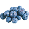 organic dried blueberries