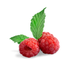organic raspberries