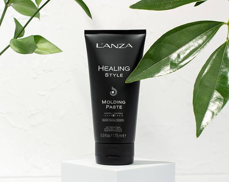 Molding Paste Healing Style L Anza