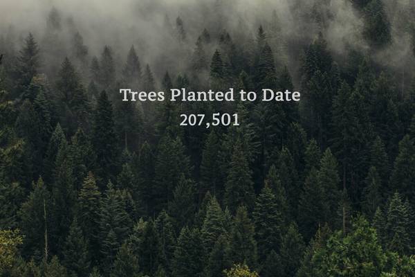 Planting out of poverty