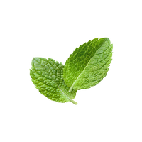 PEPPERMINT