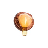 ARGAN