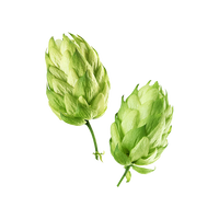 IRISH HOPS