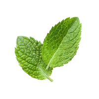 PEPPERMINT