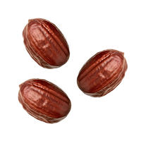 JOJOBA