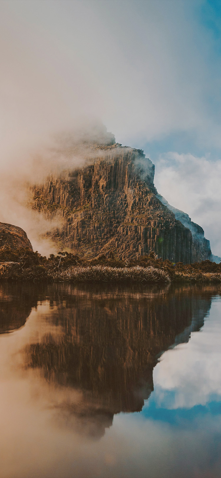 [ウィスキーコーク] 美品！WILD SWANS ダークブラウン ウィスキーコーク様専用] 美品！WILD SWANS ダークブラウン