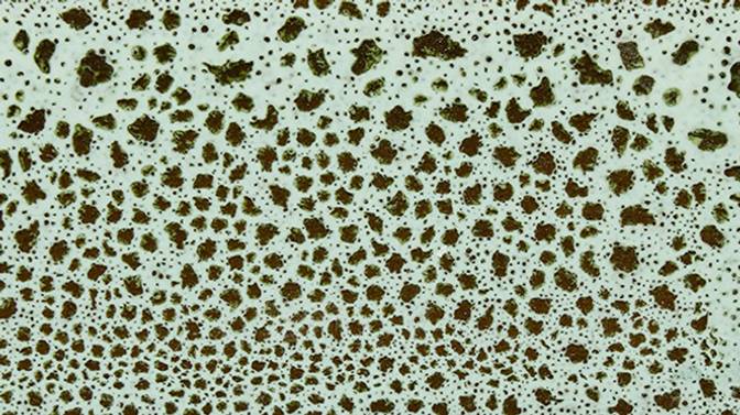 LG7 Sample in Opaque White-Antique Green