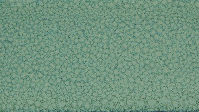 LG8 Sample in Manzanita