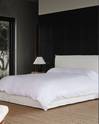 Joe Bed