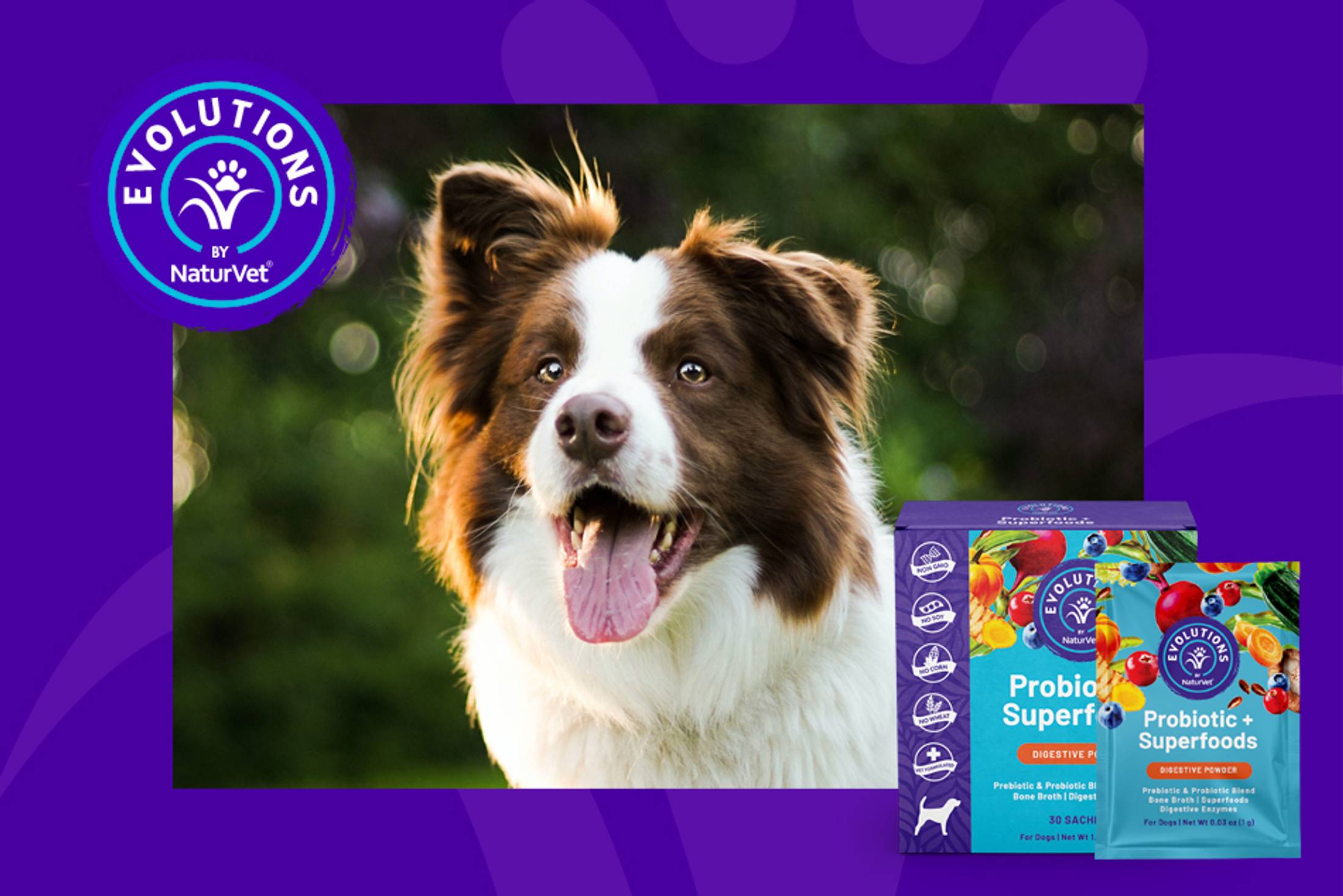 Evolutions Probiotic + Superfoods Sachet for Dogs NaturVet®