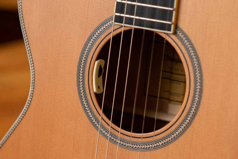 Iconic LR Baggs Anthem Pickup