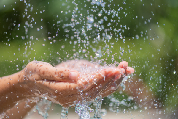 Woman's hands catching falling clean water against a green foliage background