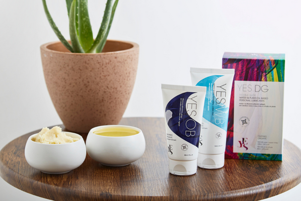 YES Double glide box on a wooden table. A pot of shea butter and coconut butter are next to an aloe vera plant. A tube of YES OB and YES WB are also on the table having been taken out of the double glide box