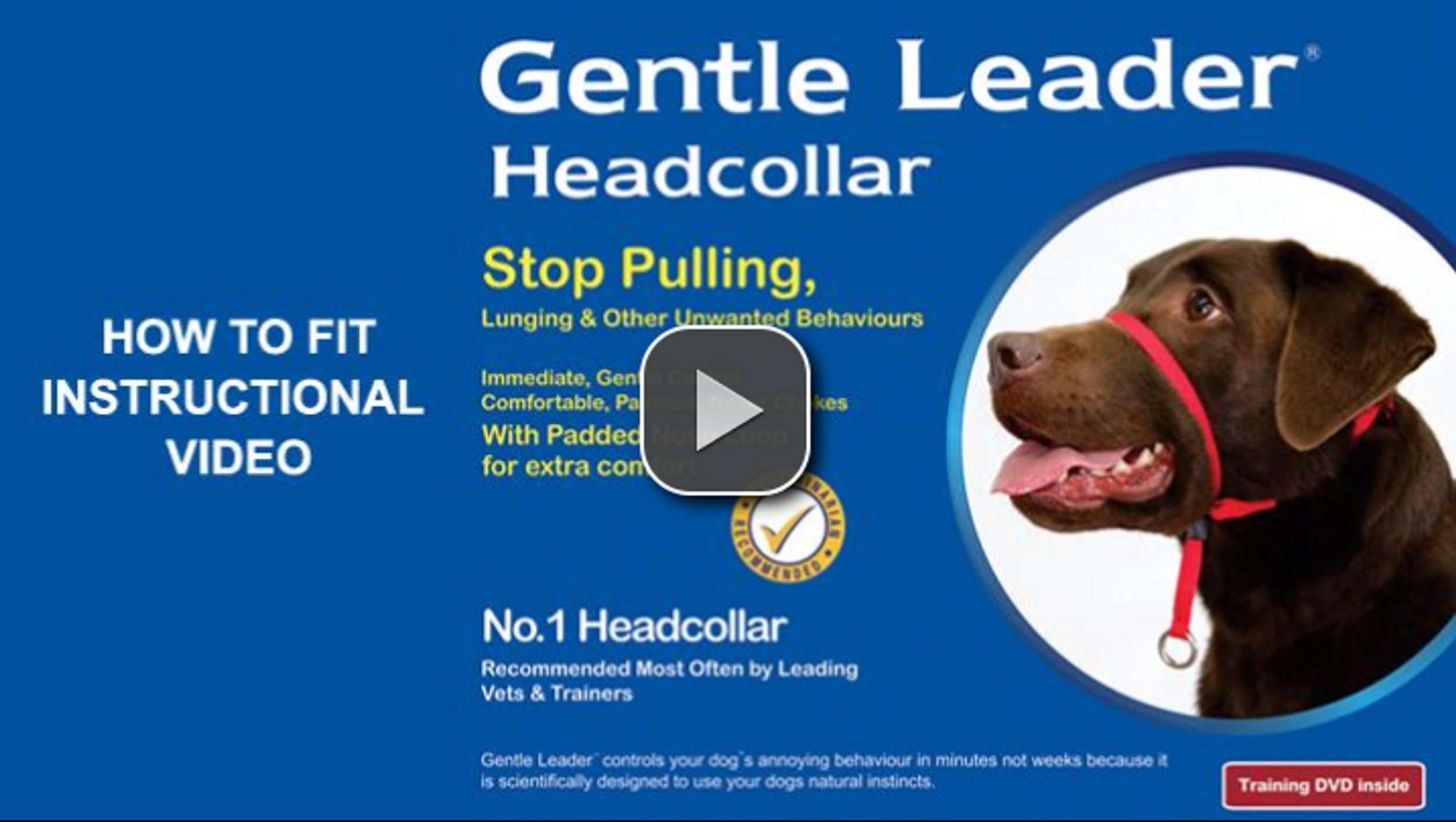 Gentle Leader Head Collar