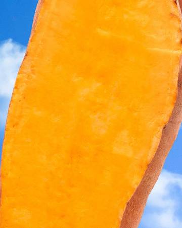 A close up of a sweet potato with a blue sky background