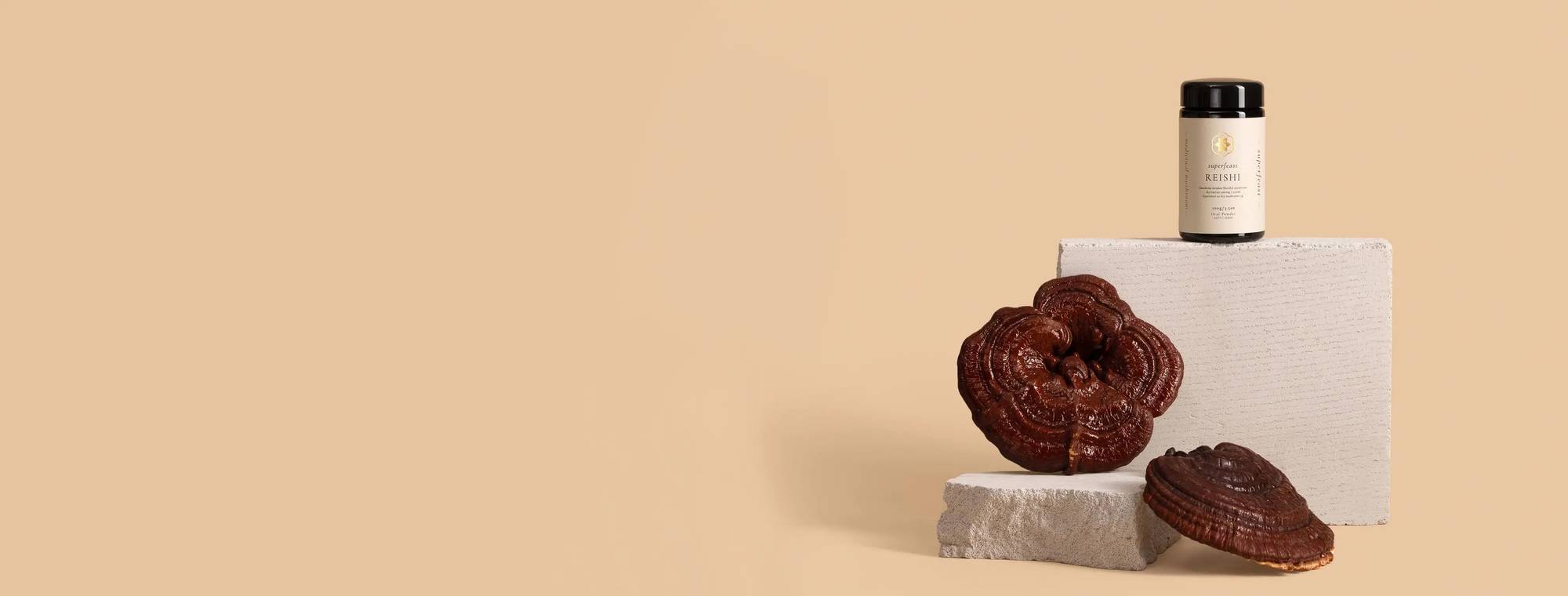 Reishi Capsules