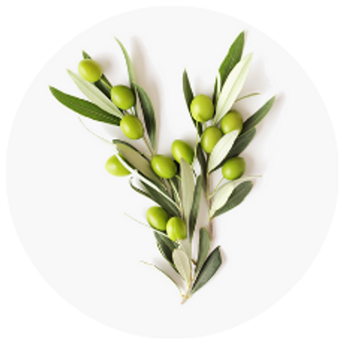 Benolea® Olive Leaf Extract  