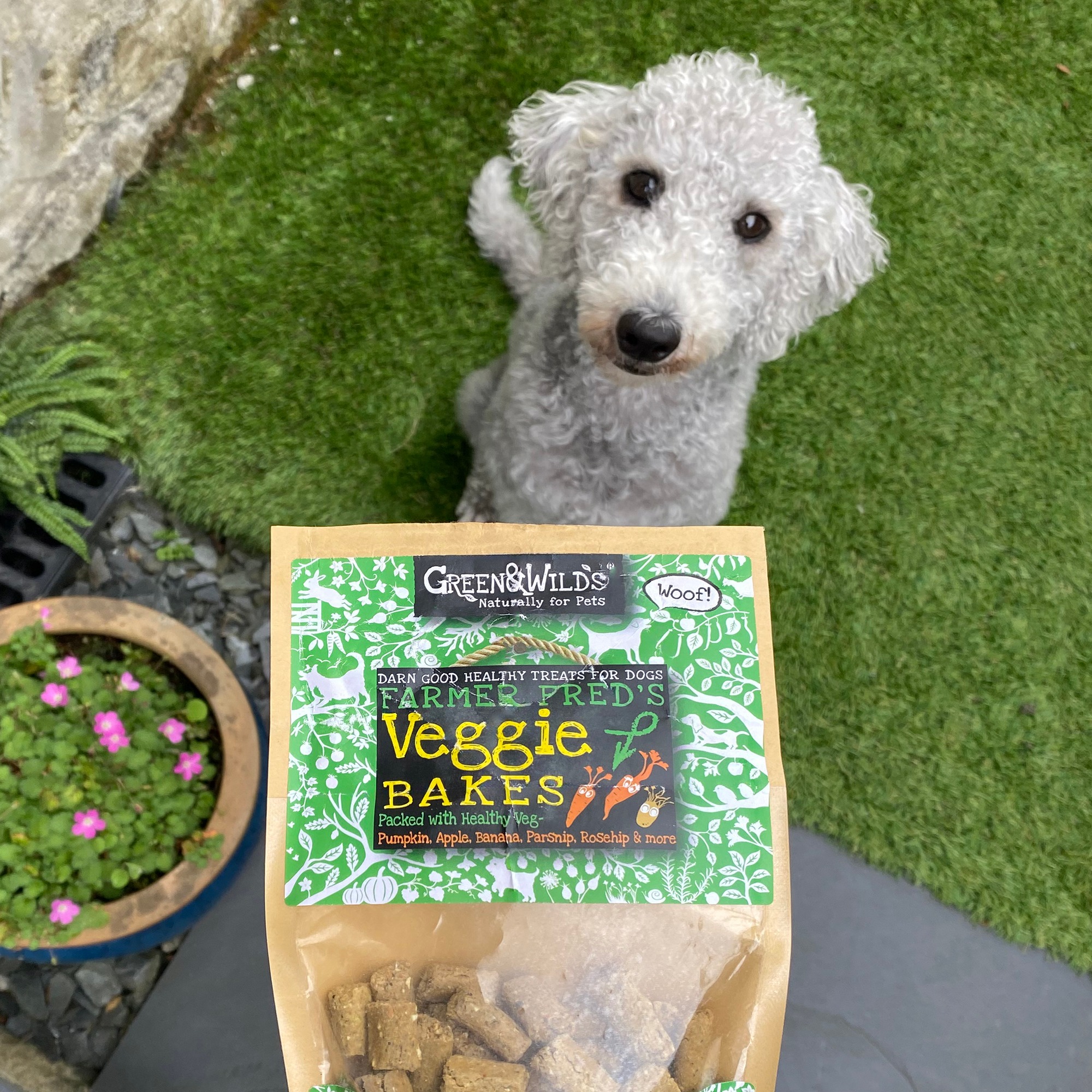 Farmer Fred's Veggie Bakes, 130g – Green and Wilds - Retail