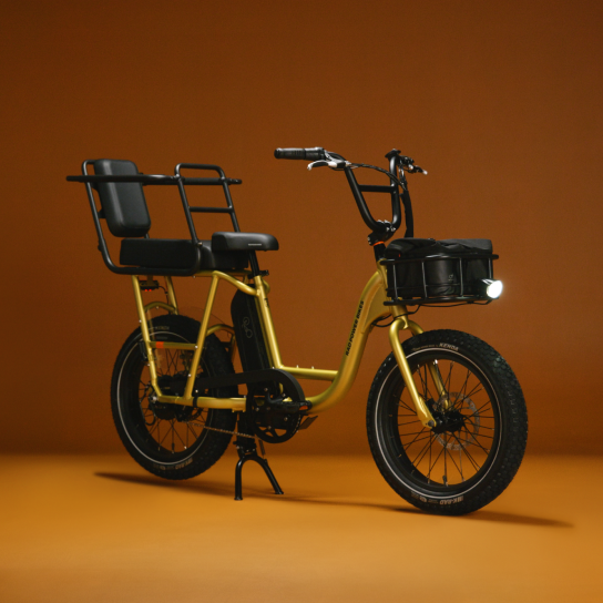 RadRunner caboose, an accessory to secure smaller passengers, featured on a gold RadRunner 2 electric utility bike.