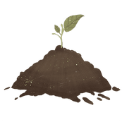 Kampot Pepper Aged - Harvest 2015 (80.5%) - Signature