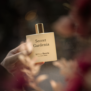 Secret Gardenia Eau de Parfum | Miller Harris – Miller Harris US Secret Gardenia Eau de Parfum | Miller Harris – Miller Harris US