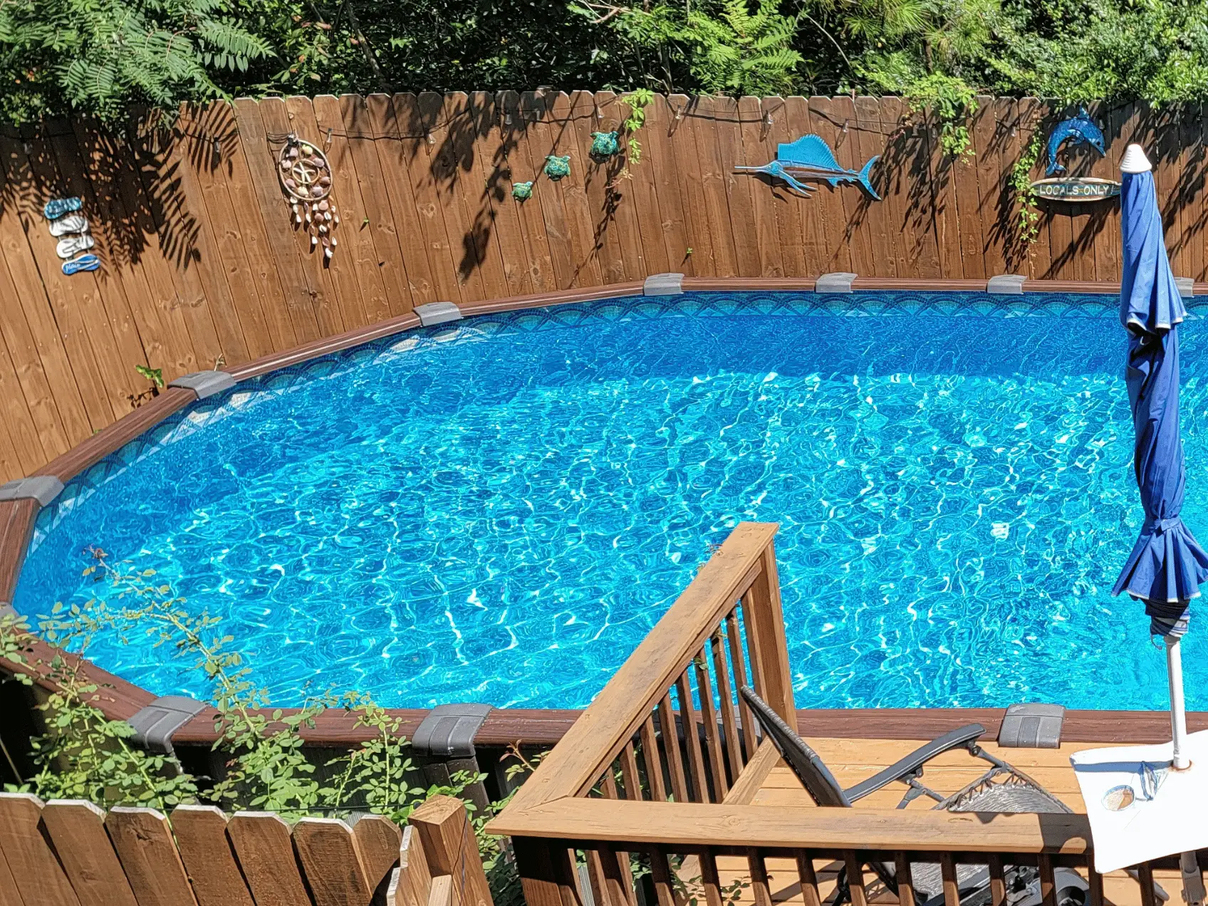 Catalina oval uni-bead pool liner in a Daytona oval pool