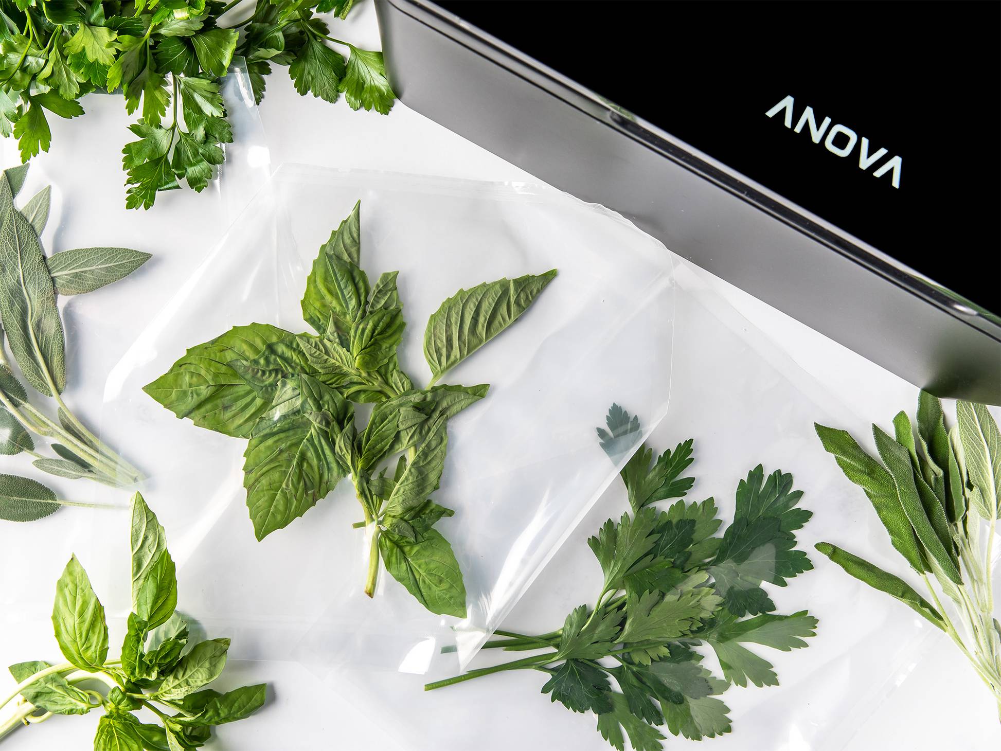 The Anova Precision Chamber Vacuum Sealer: Unboxing And Pickle