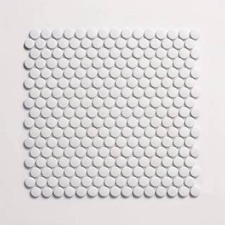 porcelain | white matte | penny rounds sheet 