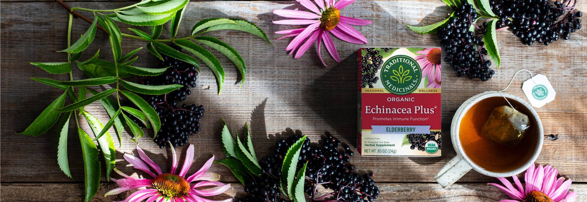 Echinacea Plus Elderberry tea 