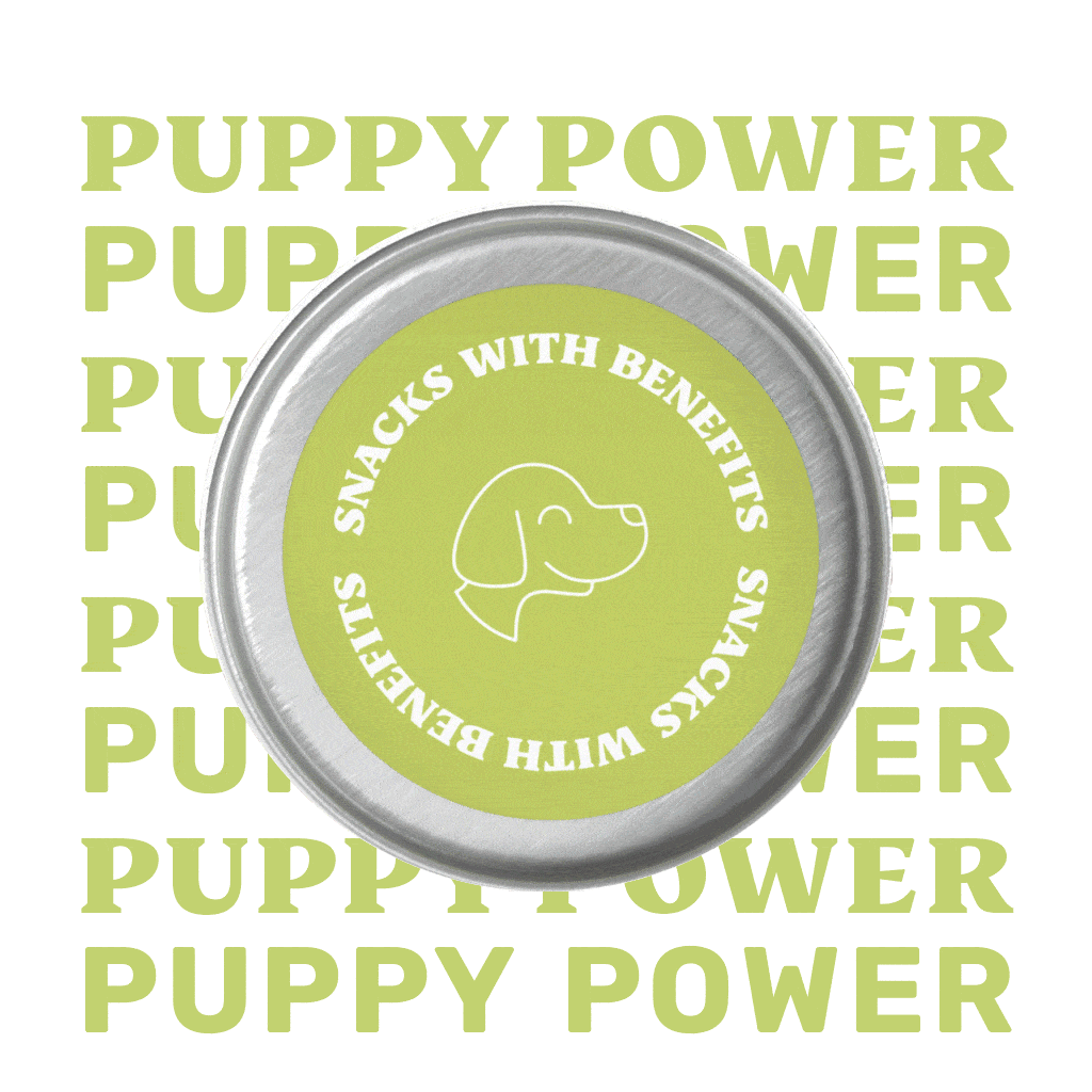 Puppy Power