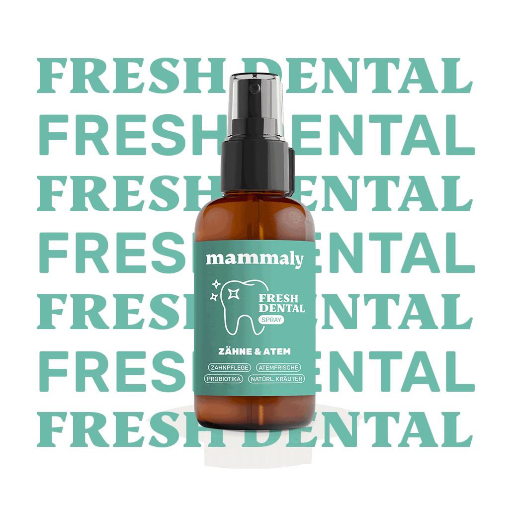 Fresh Dental (Bundle Angebot)
