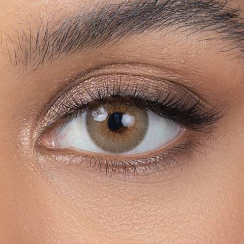 Burnt Butter Hazel (Trial)