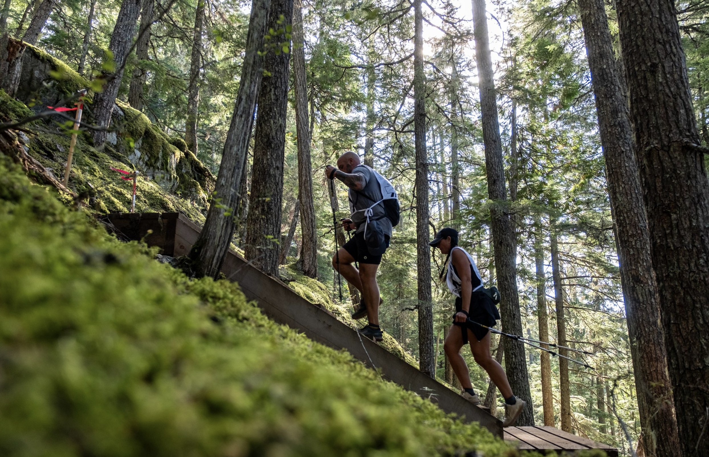 Whistler Recap
