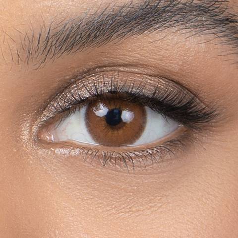 Sunset Brown (Trial)