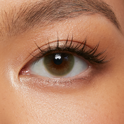 Matcha Green (Reusable)