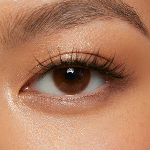 Manhattan Brown (Reusable)