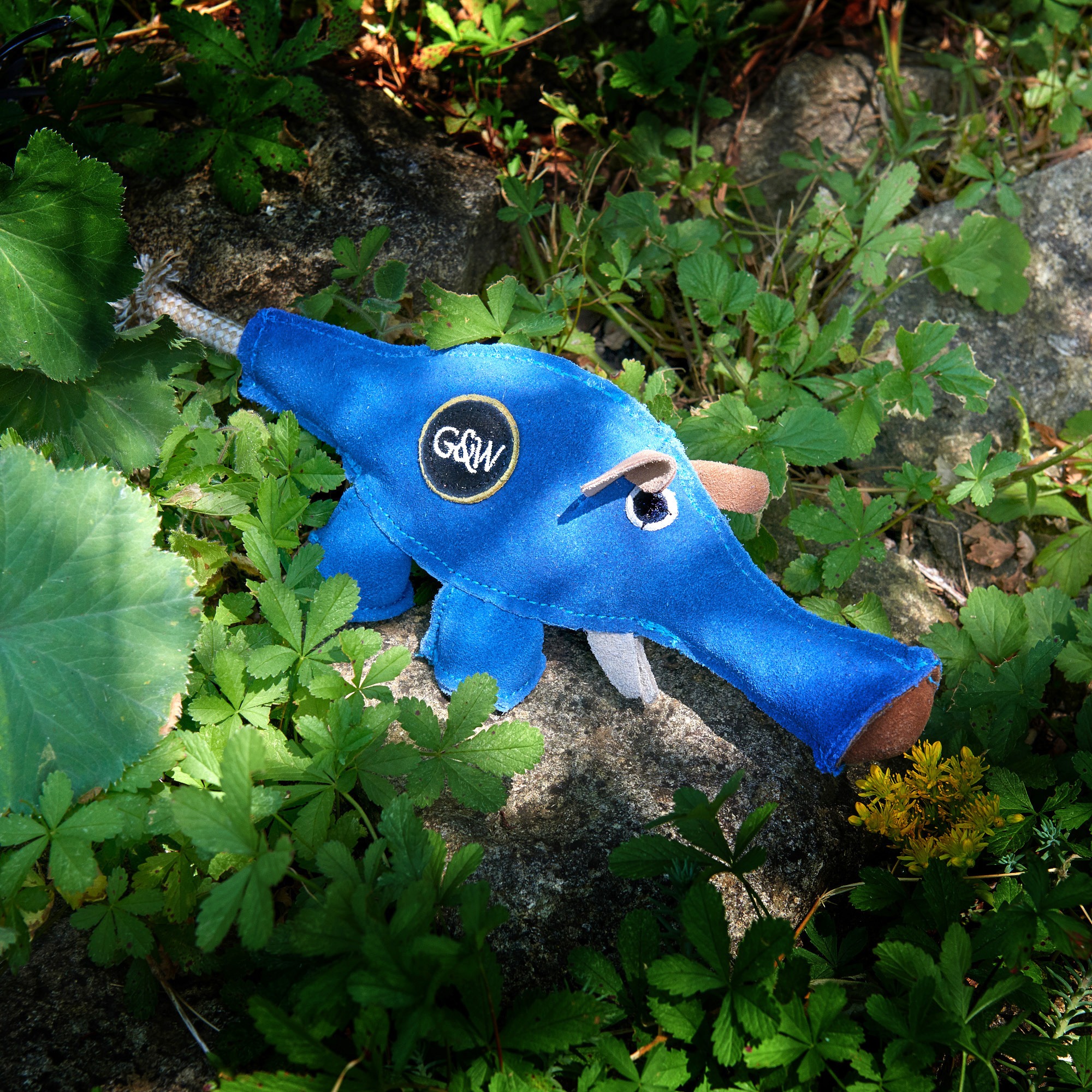 Dino the Dyno Fish, Eco Dog Toy – Green and Wilds - Retail