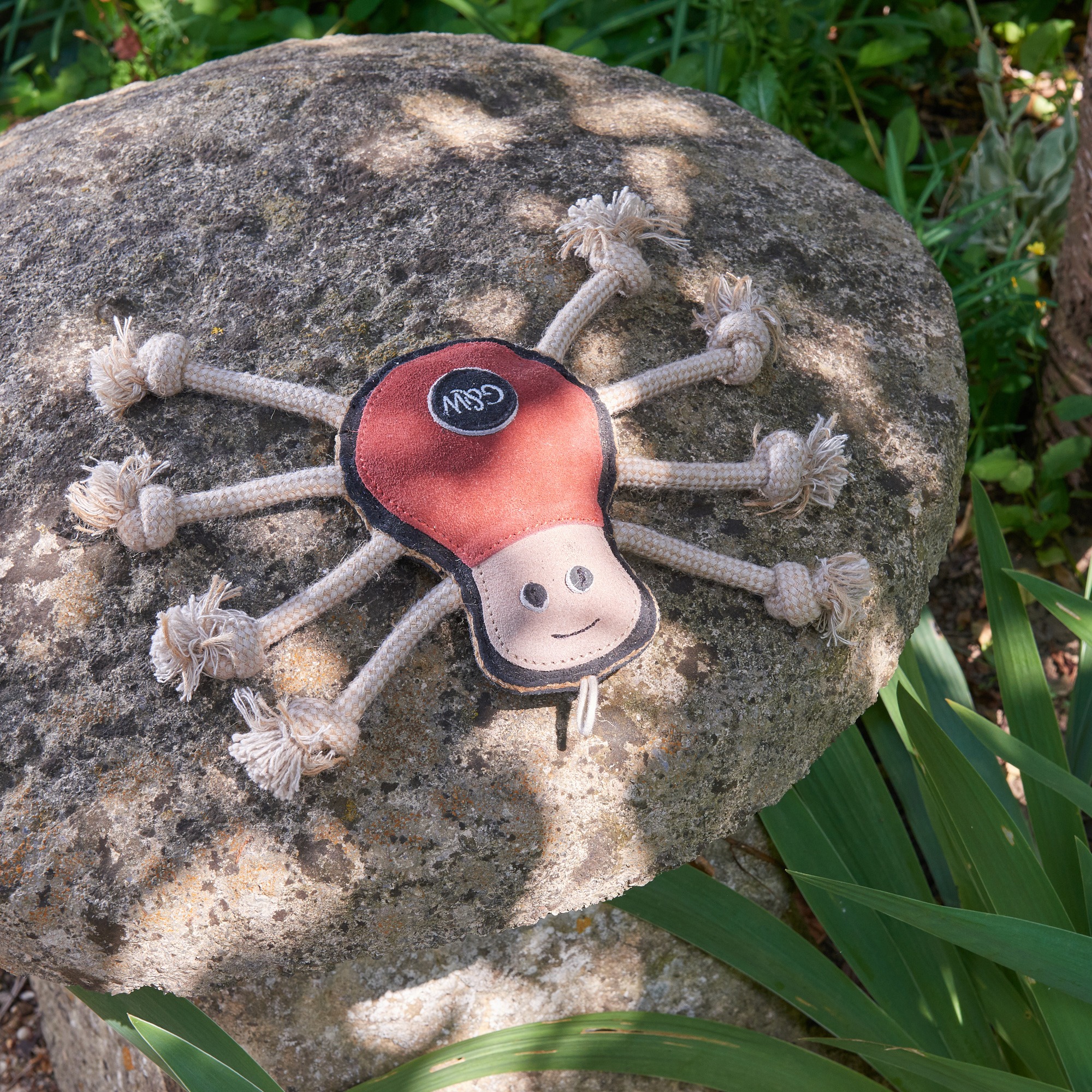 Spike the Spider, Eco Dog Toy – Green and Wilds - Retail