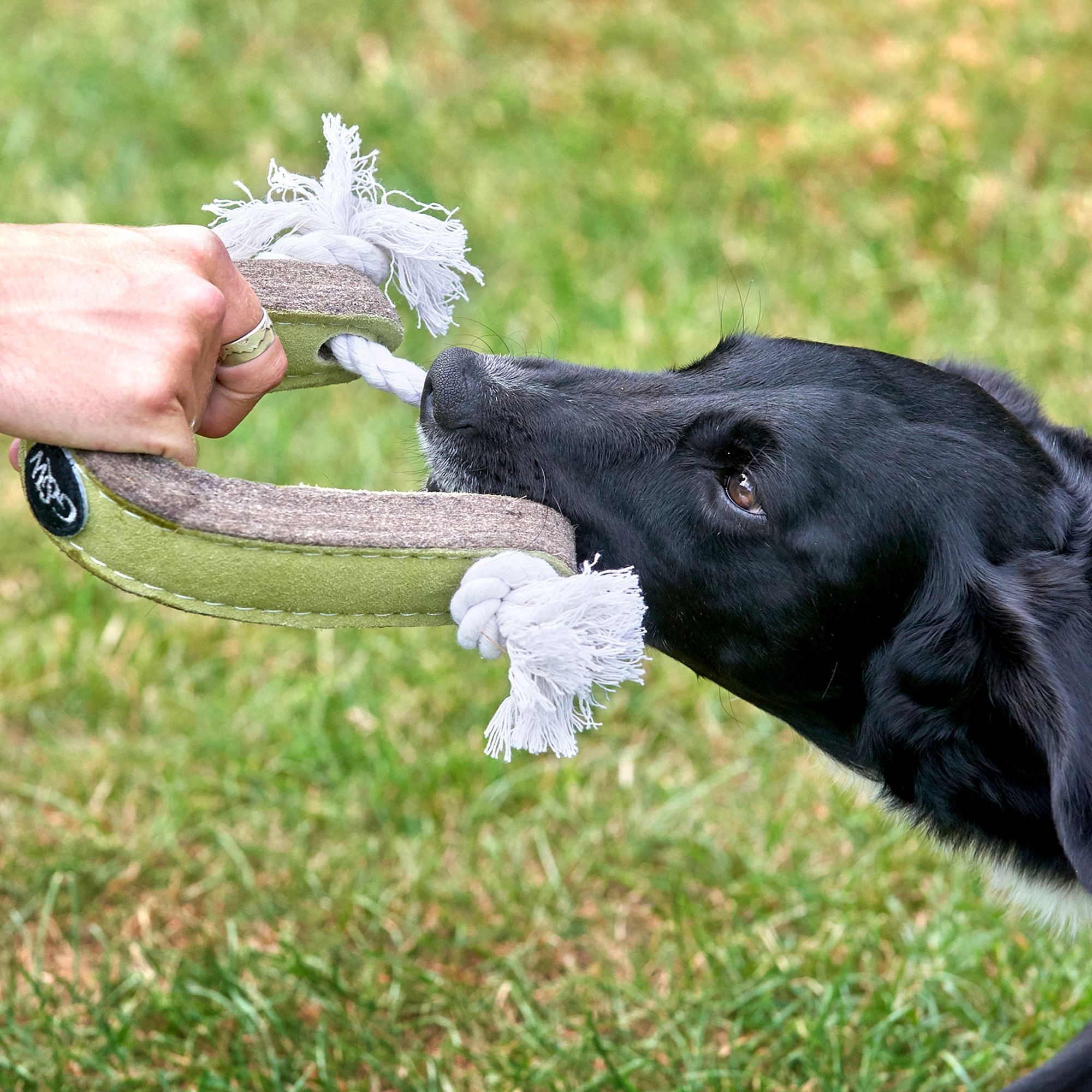 Push Me Pull Me Eco Tug Toy for Dogs 100 Recyclable & Sustainable