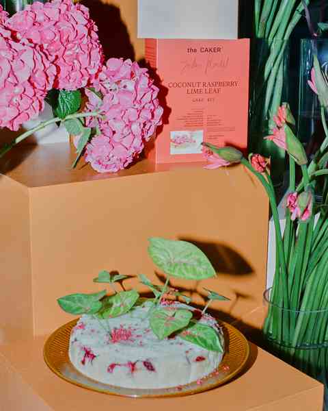 Coconut Raspberry Lime Leaf Cake KitEditorial Image  of person making cake