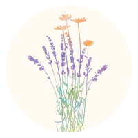 Lavender Chamomile
