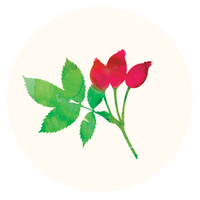 Rosehip Oil