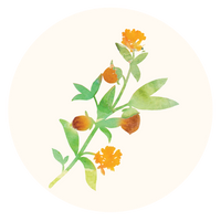 Jojoba Oil