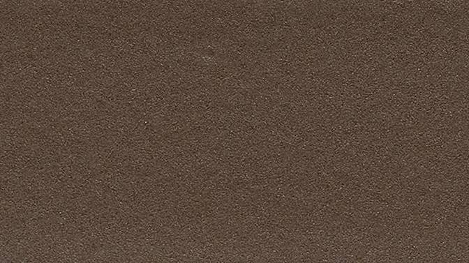 M166 Sample in Fossil