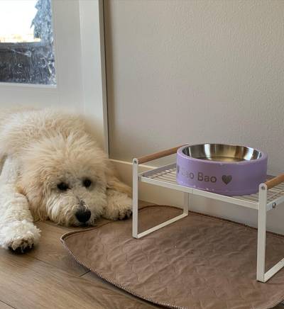 Wild One Just Launched a New Placemat for Dog Bowls