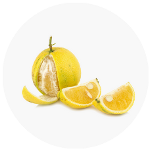 Bergamonte® citrus extract