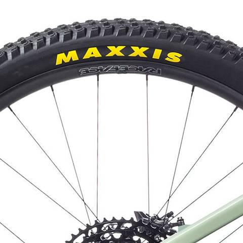 Orbea Rise M-Ltd Maxxis Dissector Tyres