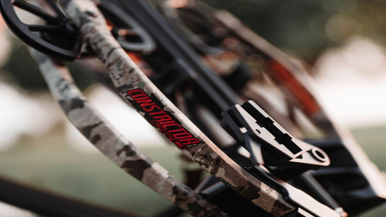 Limbs of a Bear Archery Constrictor Pro Hunting Crossbow