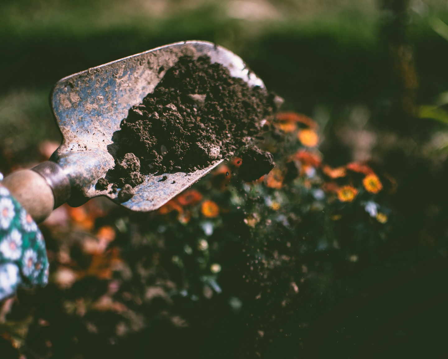 Compost with EvenGreener